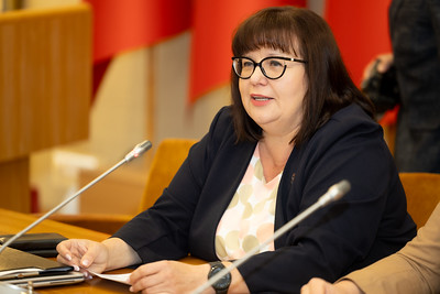 Seimo LSDP frakcijos pranešimas: „O. Leiputė: privačios gydymo įstaigos neprapuls – valstybė turi pasirūpinti viešuoju sektoriumi“

