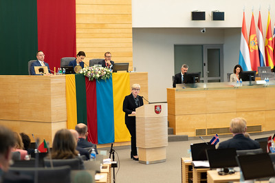 Speech by Ms Ingrida Šimonytė, Prime Minister of the Republic of Lithuania, at the High Level Meeting of Speakers of Parliaments of NATO Member Countries